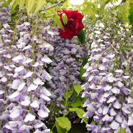 Climatise De La Haute Rue