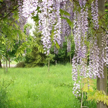 Casa di campagna Climatisé De La Haute Rue *