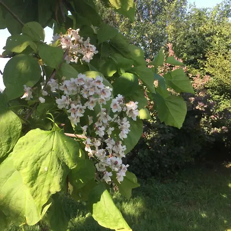 Casa di campagna Climatisé De La Haute Rue