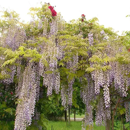 Climatisé De La Haute Rue Casa di campagna