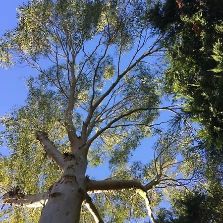 Climatisé De La Haute Rue Casa di campagna