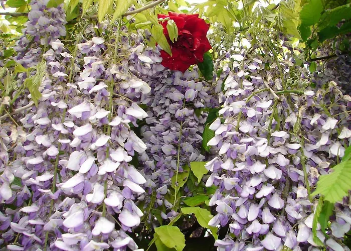 Climatise De La Haute Rue