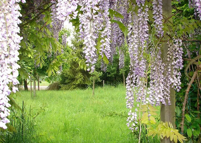 Landhaus Climatise De La Haute Rue *