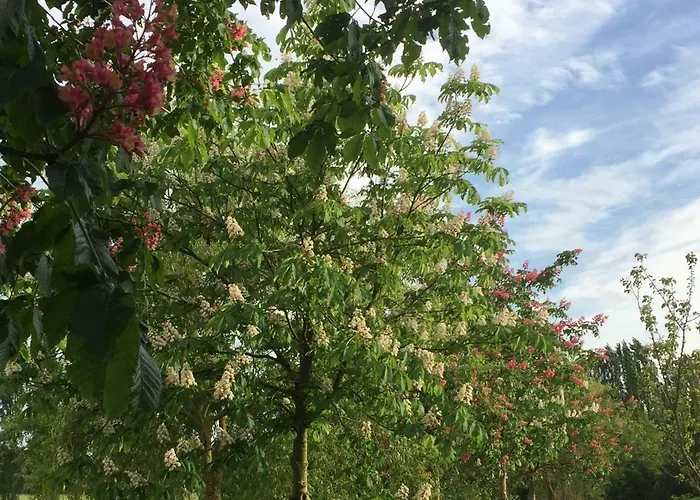 Climatise De La Haute Rue Landhaus *