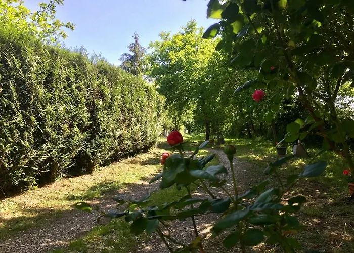 Climatise De La Haute Rue Landhaus *