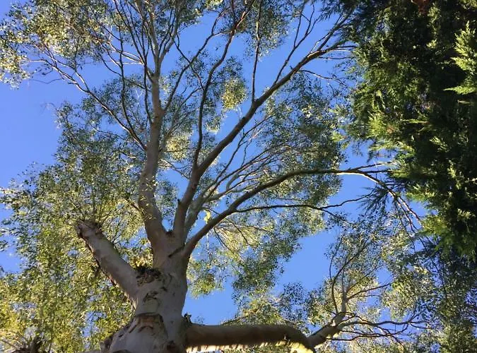 Climatise De La Haute Rue Landhaus
